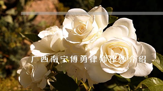 广西南宁傅勇律师律师介绍 广西南宁傅勇律师律师介绍