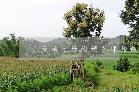 广西南宁好的债务律师微信咨询 广西南宁好的债务律师微信咨询