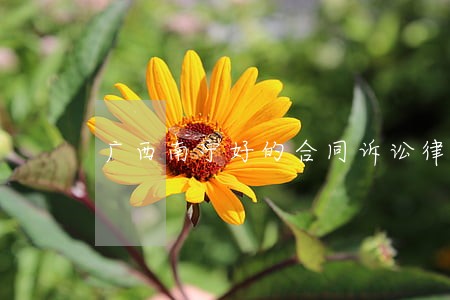 广西南宁好的合同诉讼律师哪个好 广西南宁好的合同诉讼律师哪个好