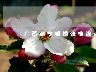 广西南宁婚姻法律咨询 广西南宁婚姻法律咨询
