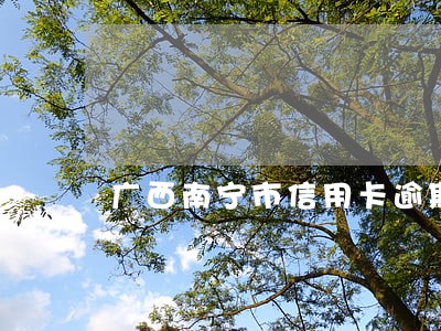 广西南宁市信用卡逾期通缉 广西南宁市信用卡逾期通缉