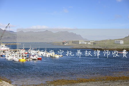 广西南宁抚养权律师收费多少 广西南宁抚养权律师收费多少