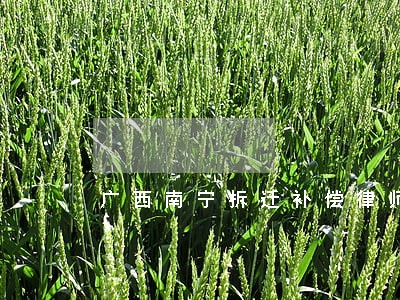 广西南宁拆迁补偿律师费用标准 广西南宁拆迁补偿律师费用标准