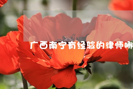 广西南宁有经验的律师哪个强 广西南宁有经验的律师哪个强
