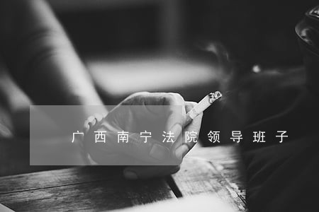 广西南宁法院领导班子