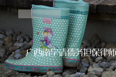 广西南宁请债务担保律师多少钱 广西南宁请债务担保律师多少钱