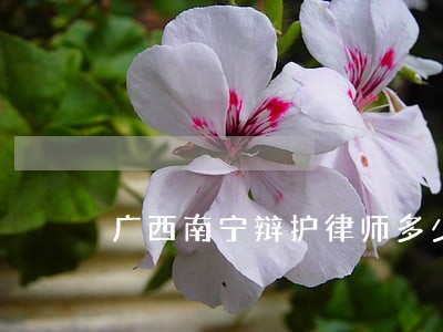 广西南宁辩护律师多少钱 广西南宁辩护律师多少钱