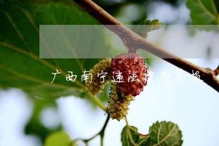 广西南宁违法建房举报 广西南宁违法建房举报