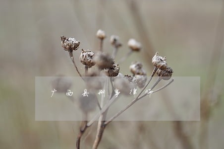 广西县刑事律师