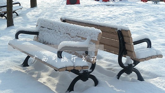 广西司法厅书记 广西司法厅书记