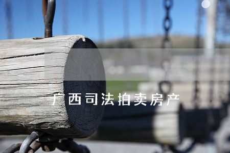 广西司法拍卖房产