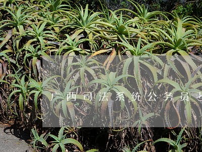 广西司法系统公务员考试 广西司法系统公务员考试
