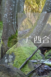 广西合同纠纷律师收费 广西合同纠纷律师收费