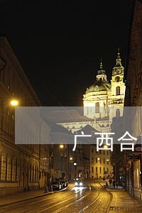 广西合同诈骗案律师推荐 广西合同诈骗案律师推荐