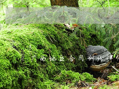 广西地区合同纠纷律师费用 广西地区合同纠纷律师费用