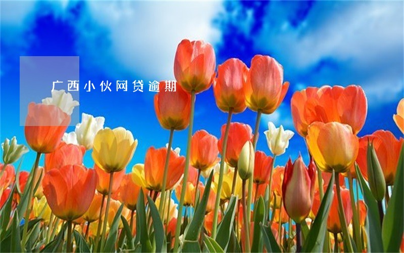 广西小伙网贷逾期 广西小伙网贷逾期