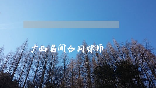 广西居间合同律师 广西居间合同律师