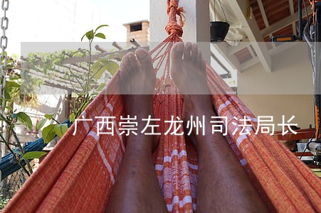 广西崇左龙州司法局长 广西崇左龙州司法局长
