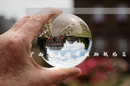 广西嵩县法律援助联络员 广西嵩县法律援助联络员