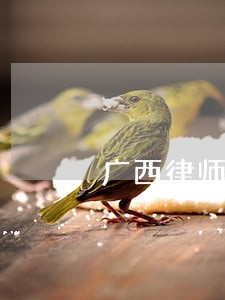 广西律师证注销 广西律师证注销