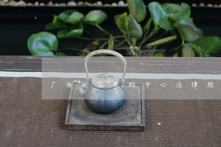 广西政法采购中心法律顾问 广西政法采购中心法律顾问