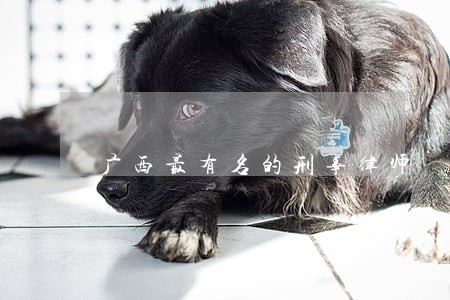 广西最有名的刑事律师 广西最有名的刑事律师