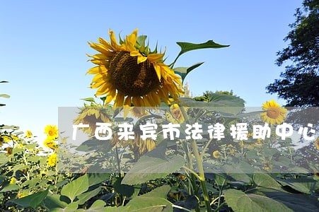 广西来宾市法律援助中心 广西来宾市法律援助中心