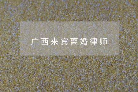 广西来宾离婚律师 广西来宾离婚律师