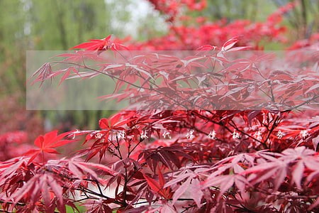广西桂林代理债权债务律师哪个好 广西桂林代理债权债务律师哪个好