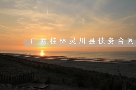 广西桂林灵川县债务合同律师 广西桂林灵川县债务合同律师