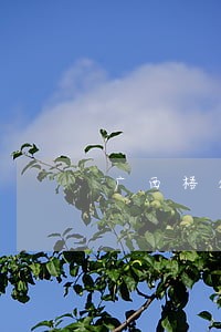 广西梧州信用卡逾期 广西梧州信用卡逾期