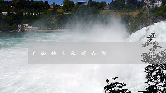 广西横县法律咨询