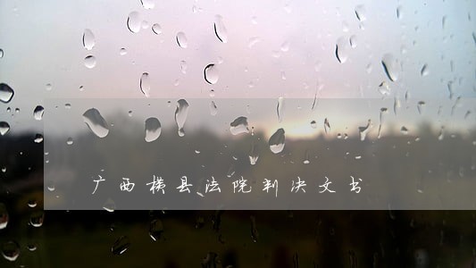 广西横县法院判决文书 广西横县法院判决文书