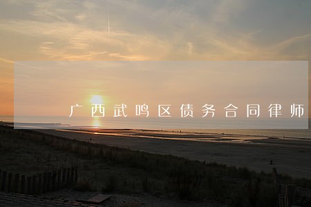 广西武鸣区债务合同律师 广西武鸣区债务合同律师
