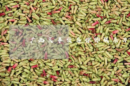 广西民事债务律师联系方式