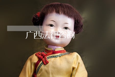 广西法律咨询 广西法律咨询
