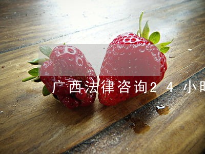 广西法律咨询24小时 广西法律咨询24小时