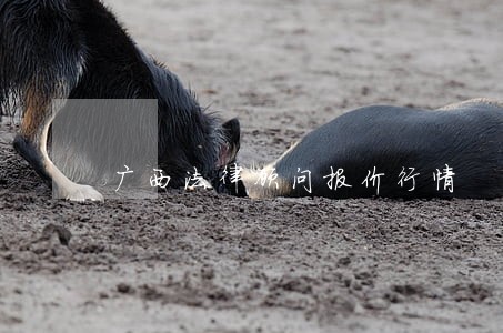 广西法律顾问报价行情 广西法律顾问报价行情