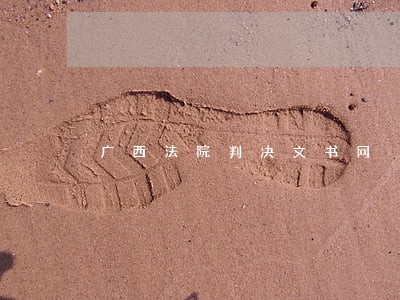 广西法院判决文书网 广西法院判决文书网