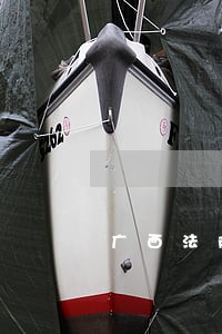 广西法院妇女事迹