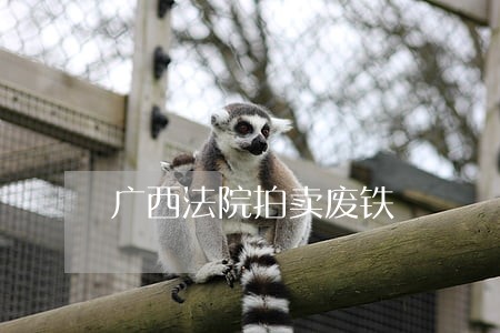广西法院拍卖废铁 广西法院拍卖废铁