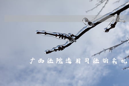 广西法院选用司法拍卖机构标准