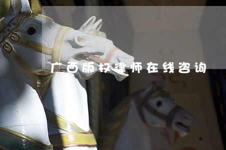广西版权律师在线咨询 广西版权律师在线咨询