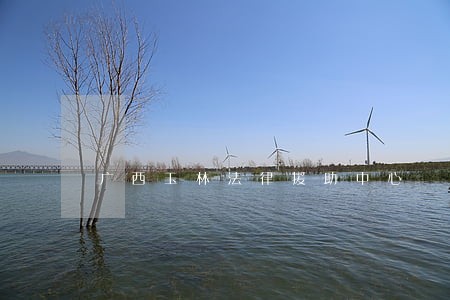 广西玉林法律援助中心 广西玉林法律援助中心
