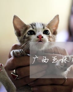 广西玉林网上法律咨询 广西玉林网上法律咨询