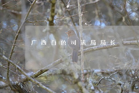 广西百色司法局局长 广西百色司法局局长