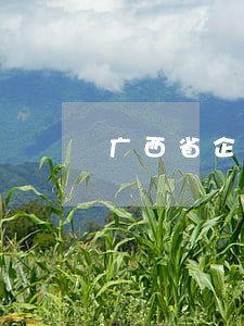 广西省企业法律顾问咨询 广西省企业法律顾问咨询