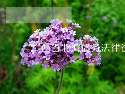广西省北海债务法律咨询律师 广西省北海债务法律咨询律师