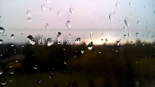 广西省司法电话 广西省司法电话