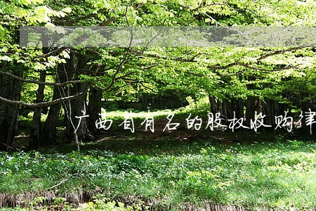 广西省有名的股权收购律师 广西省有名的股权收购律师